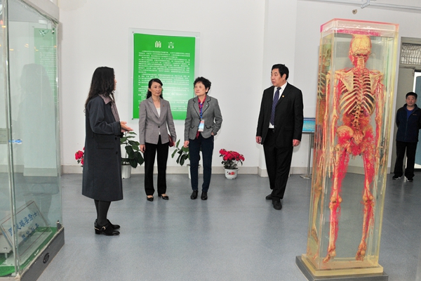 专家走访解剖标本馆