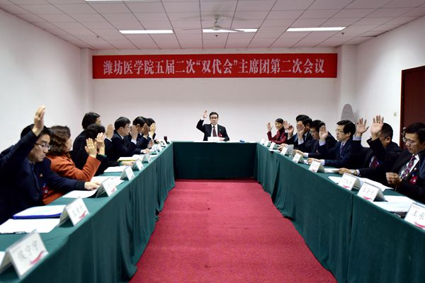 主席团第二次会议现场