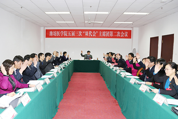 主席团第二次会议现场