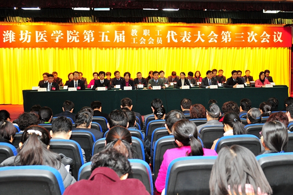 第二次全体会议现场