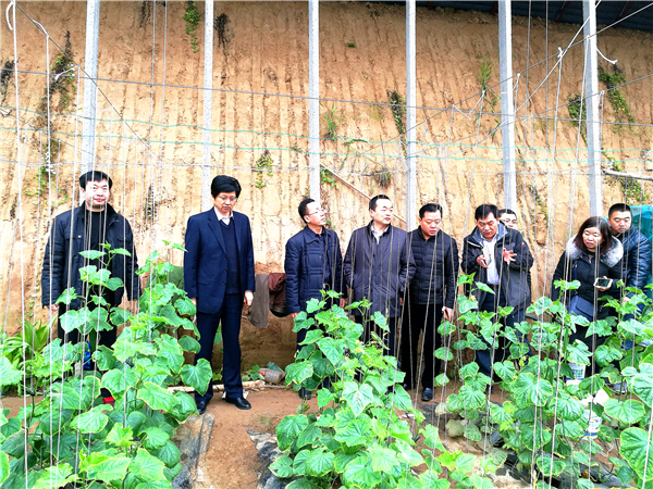 副校长朱军现场察看帮包村扶贫产业项目和基础设施